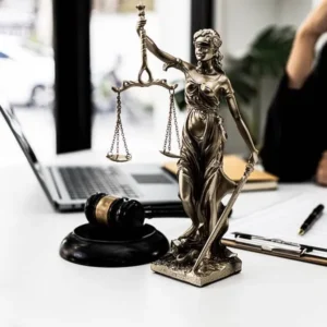 Introduction to Criminal Justice