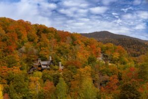 Vermont Nursing Prerequisites