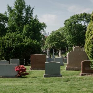 Psychology death & dying
