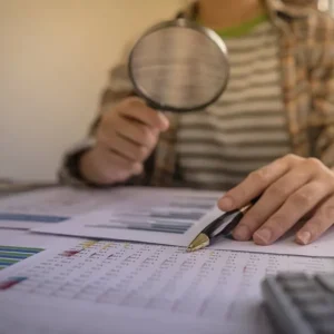 ACCT 425 Auditing