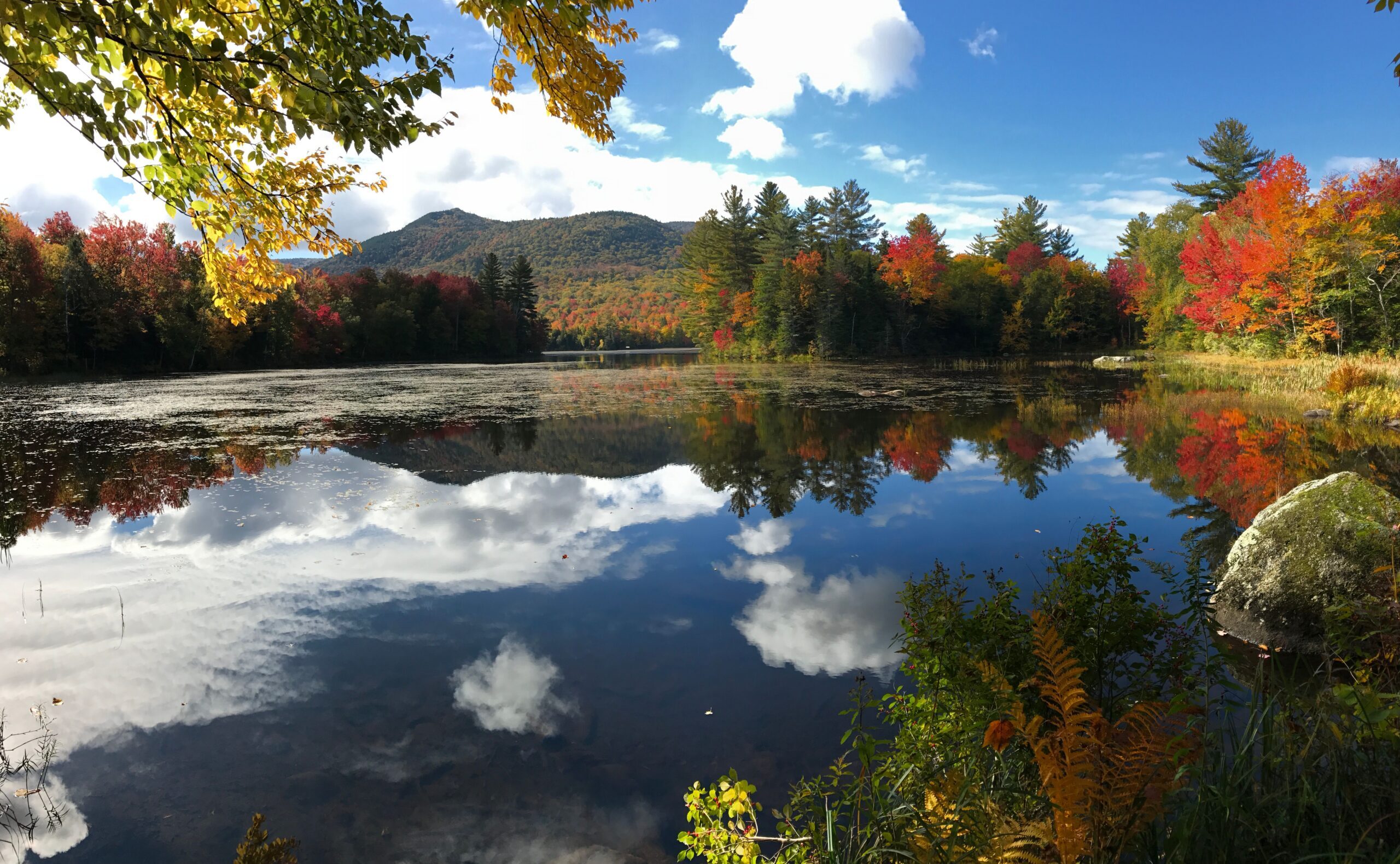 New Hampshire Nursing Prerequisites