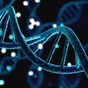BIO 282 Genetics