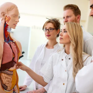 BIO 275 Human Anatomy & Physiology II w/ Lab