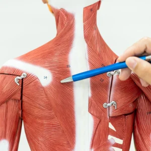 BIO 270 Human Anatomy & Physiology I w/ Lab