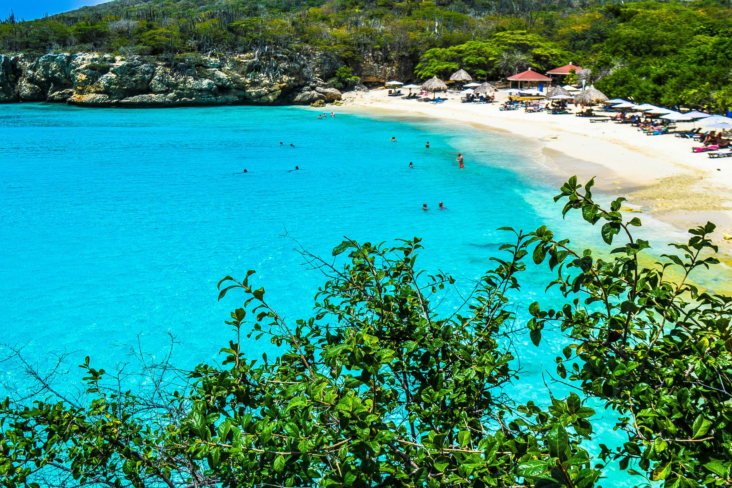 Discover RUSM Dominica: A Review