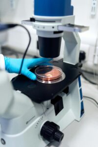 microbiology courses online