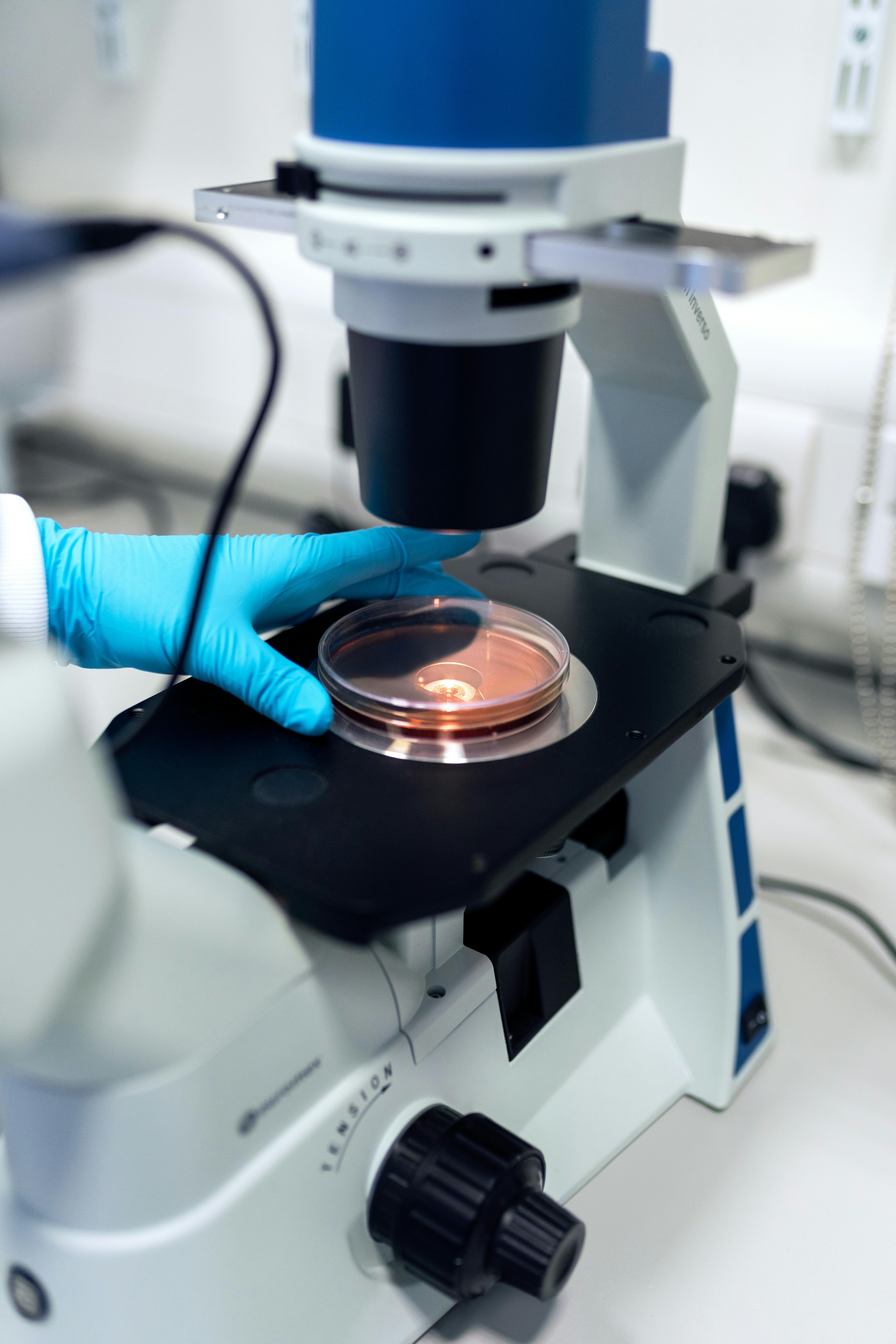 microbiology courses online