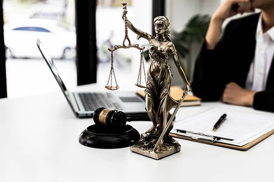 Introduction to Criminal Justice