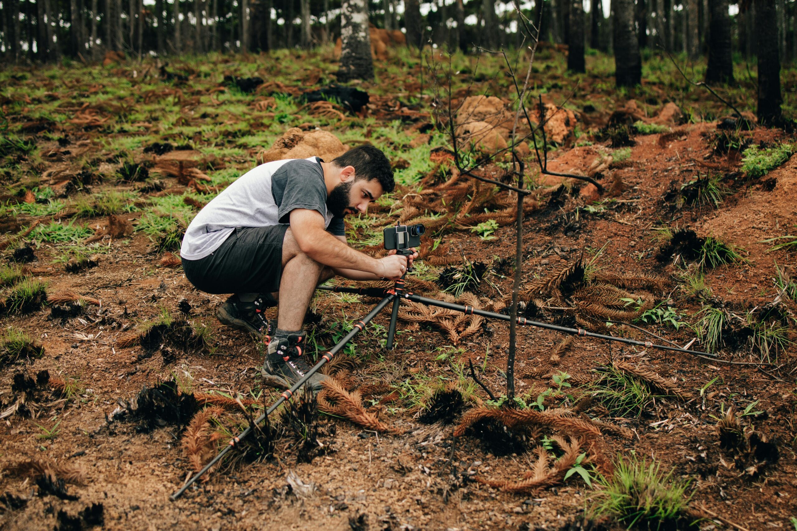environmental scientist