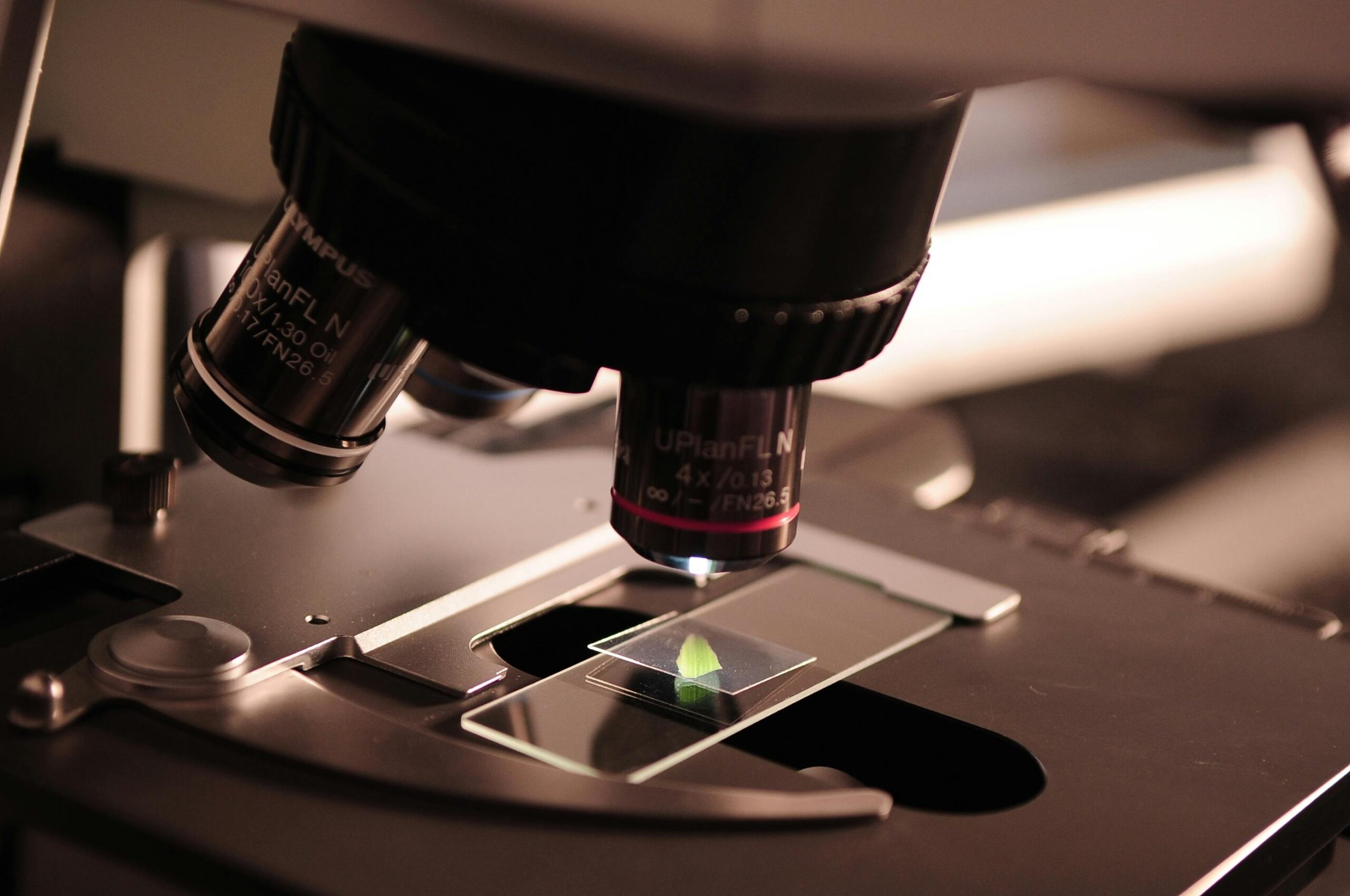 microbiology lab