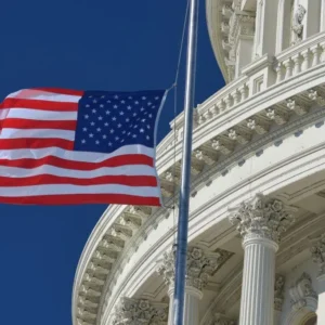 PS 100 U. S. Government