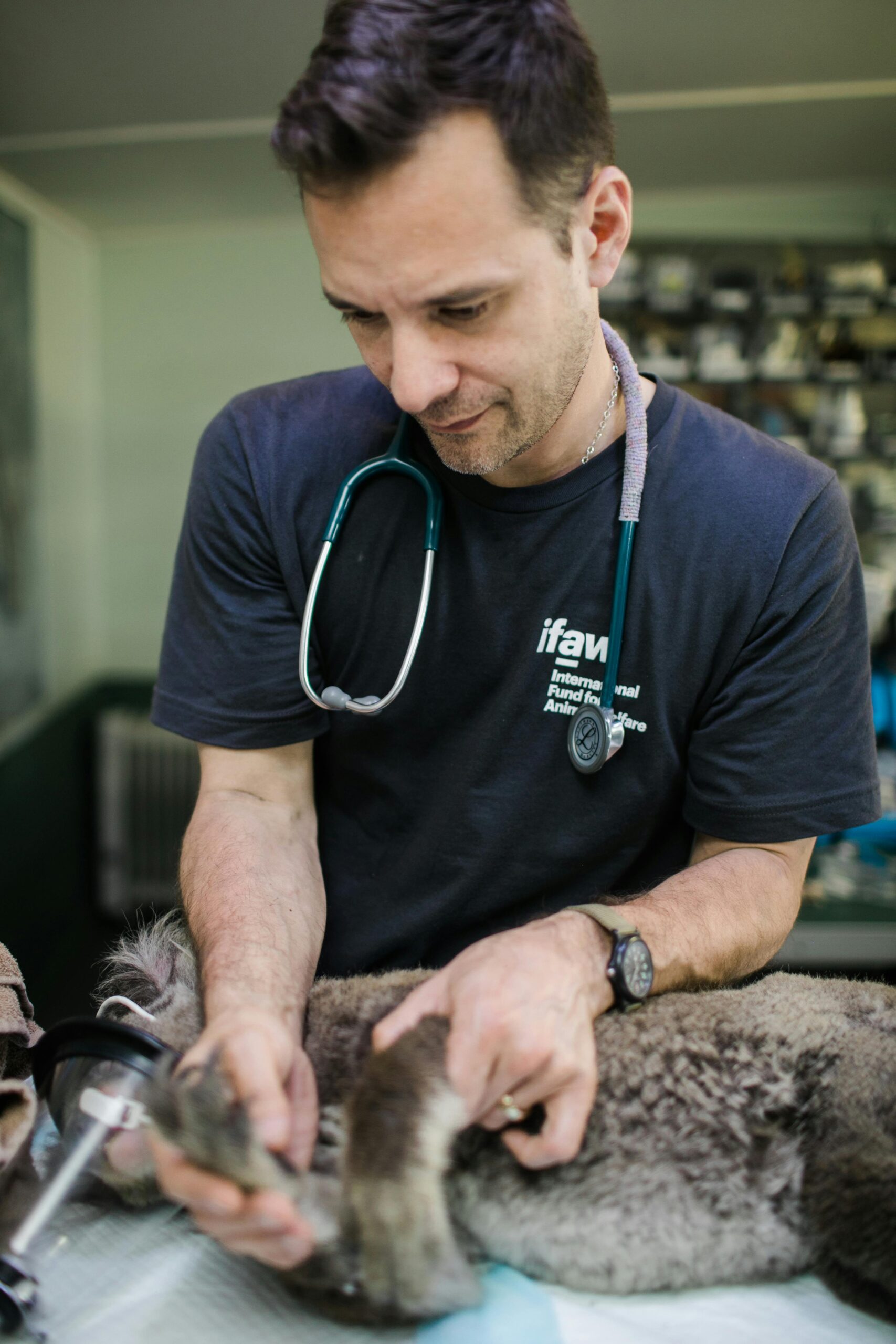 prerequisites for vet school