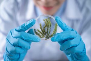 microbiology online course