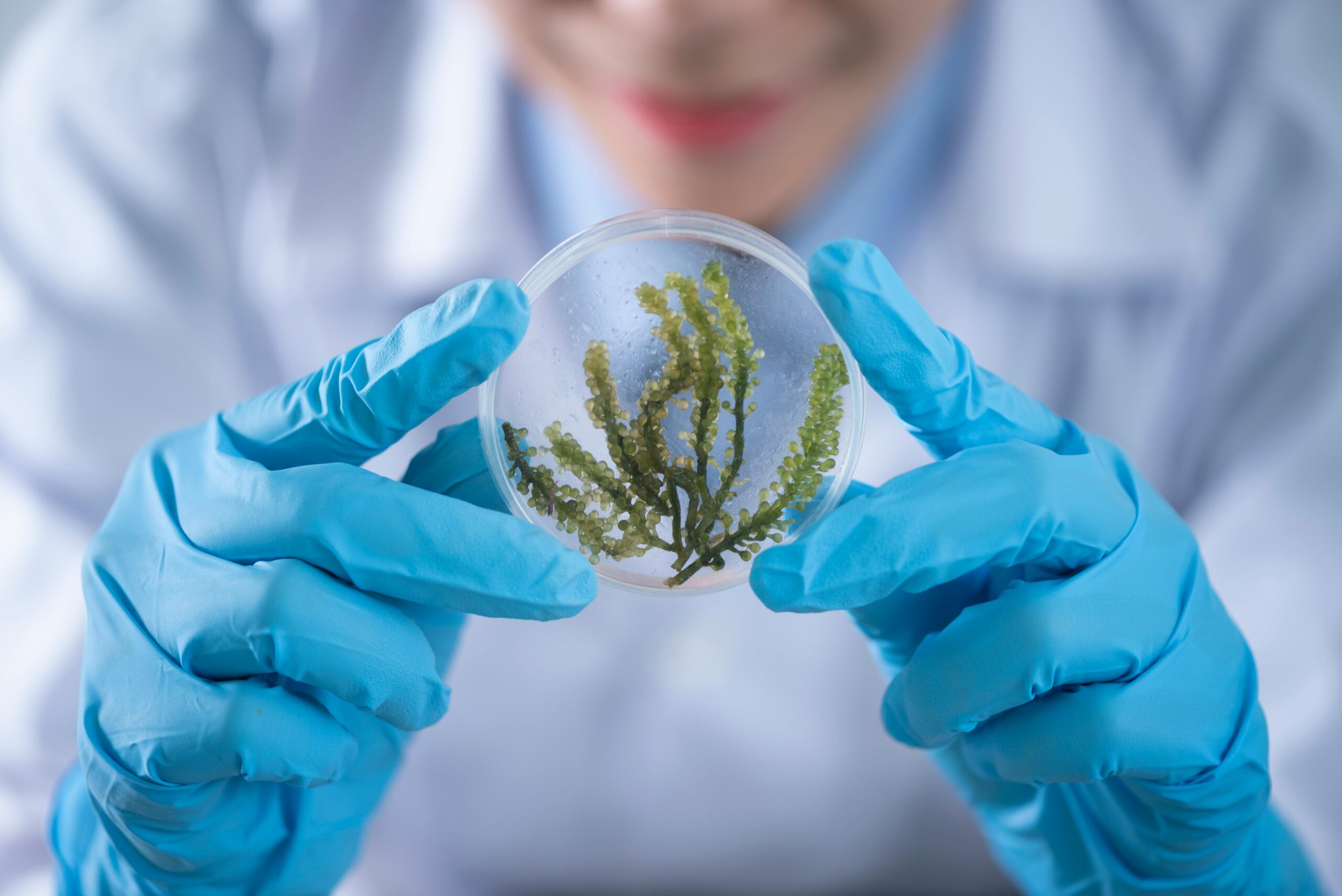 Online biology course