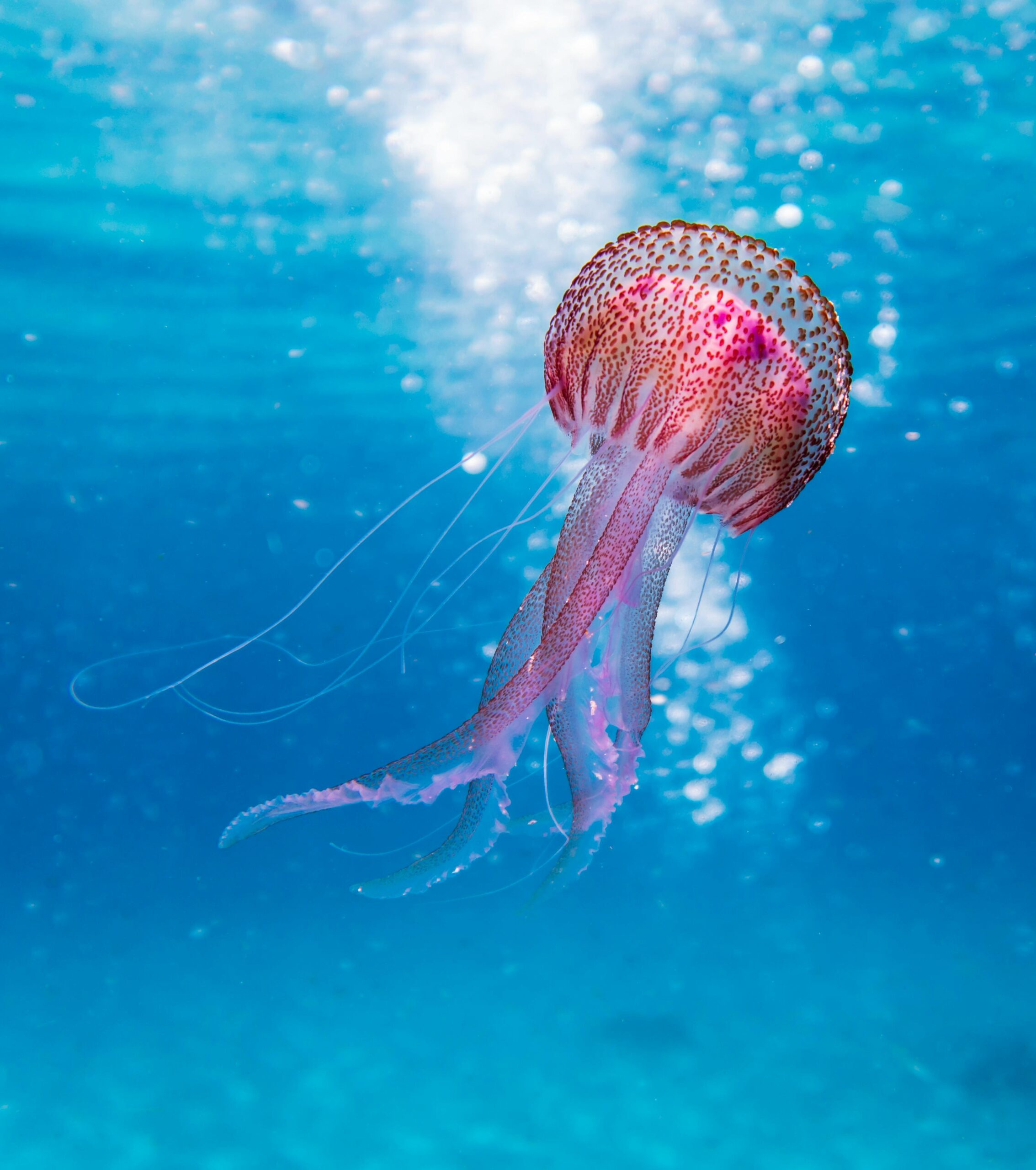 biology online course