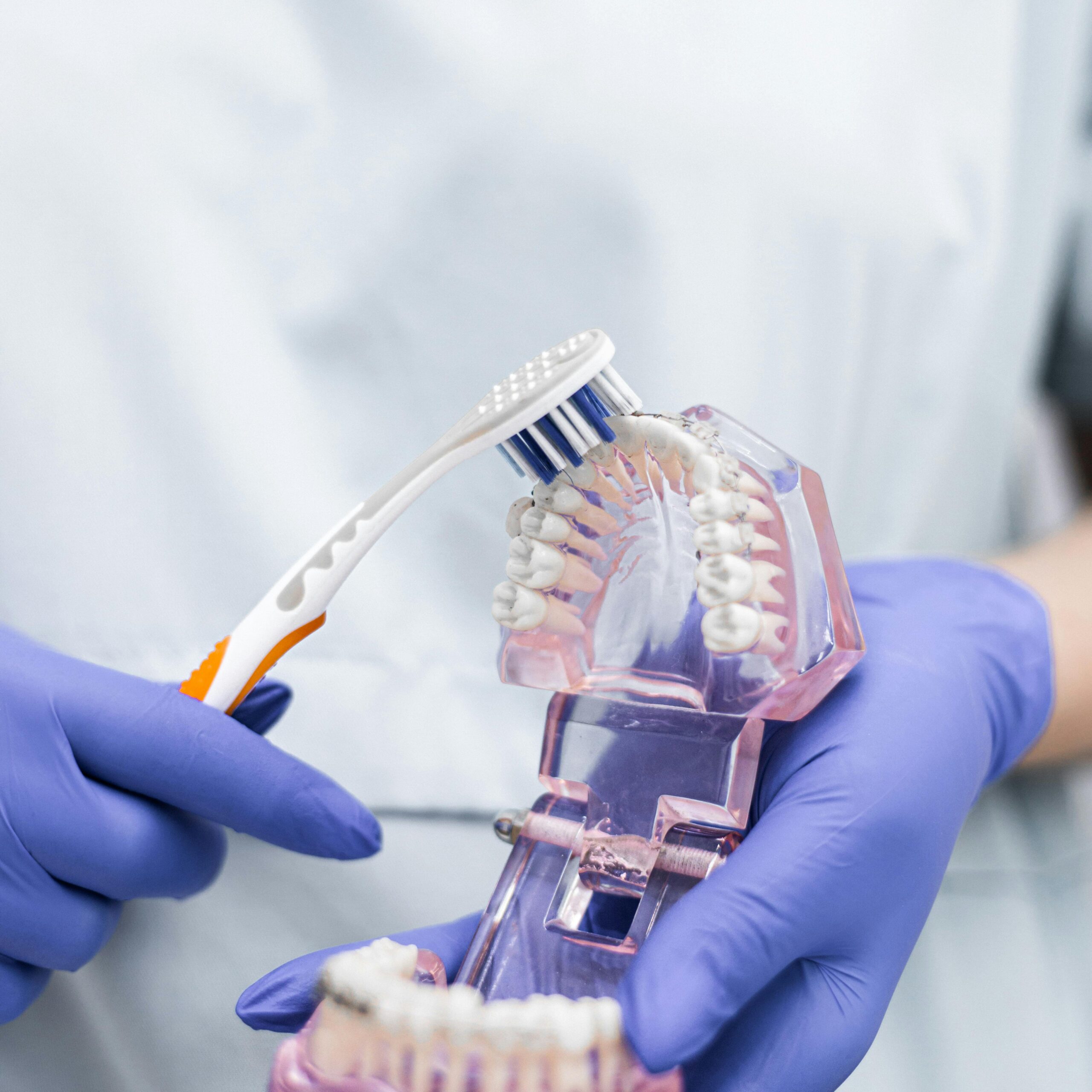 Dental Hygiene Prerequisites: The Complete Guide to Getting Into a CODA Program