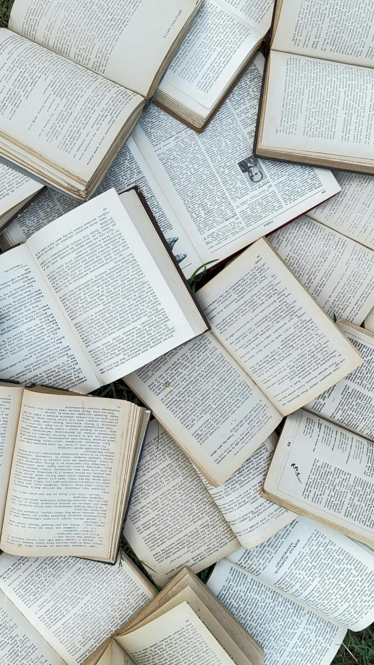 PrereqCourses vs. Portage Learning for MLS Prerequisites: A Head-to-Head Comparison