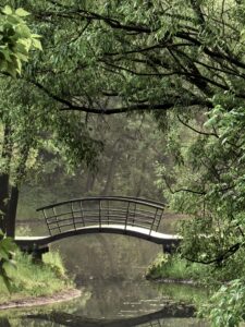 Dental Assistant to Dental Hygienist: The Bridge Pathway Explained