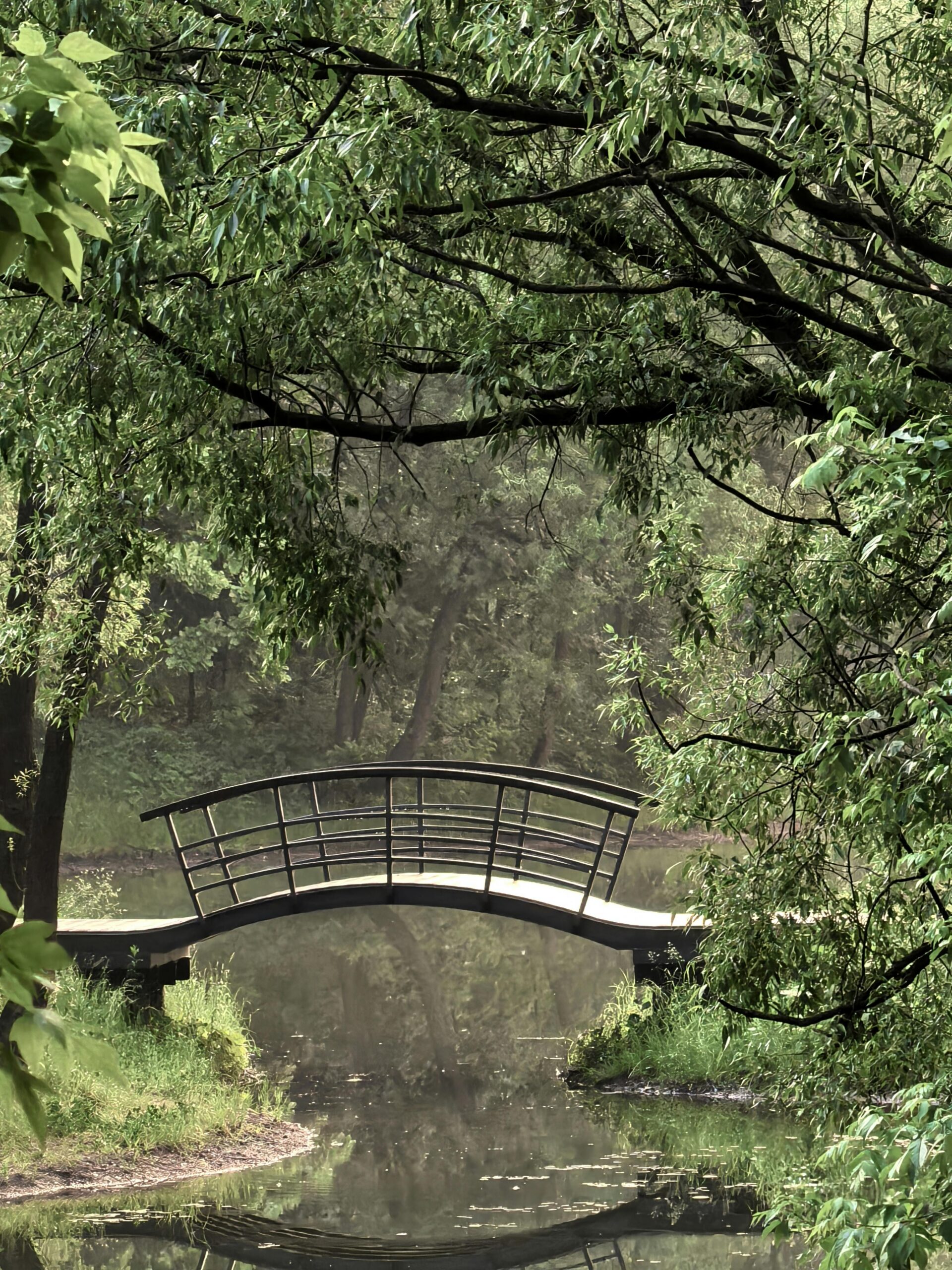 Dental Assistant to Dental Hygienist: The Bridge Pathway Explained