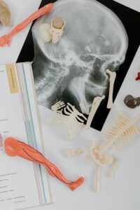 Anatomy and Physiology I and II for PathA, Histotech, and MLS Programs