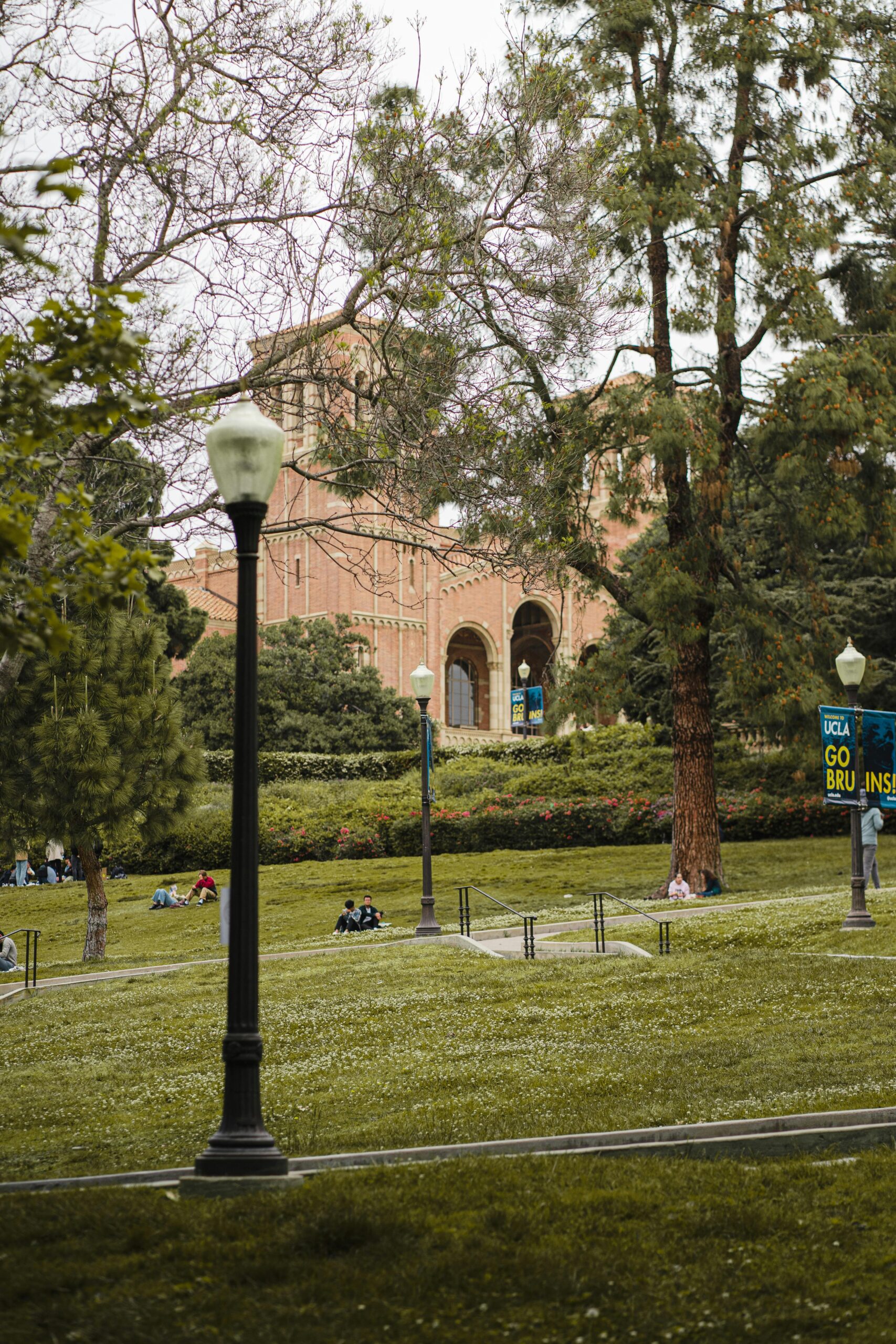 UC Davis Vet School Prerequisites