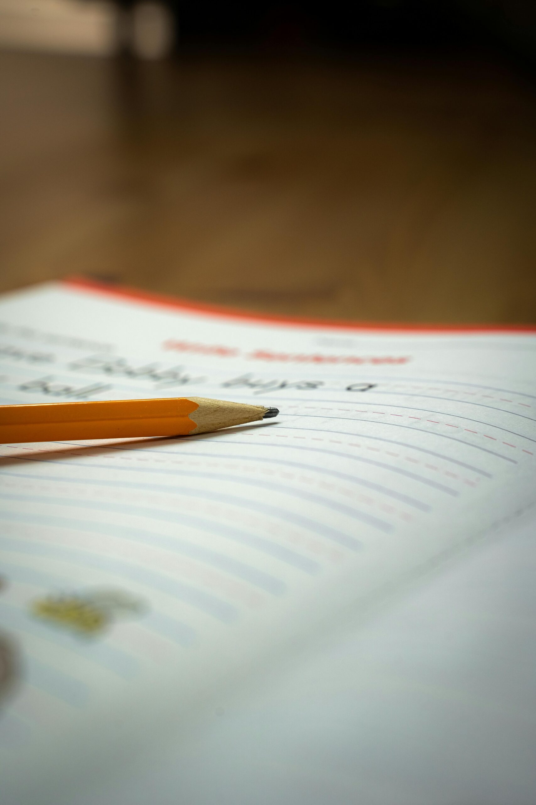 Online English Composition for PA School Applicants