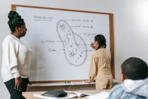 How Many Biology Credits Do You Need for Vet School?