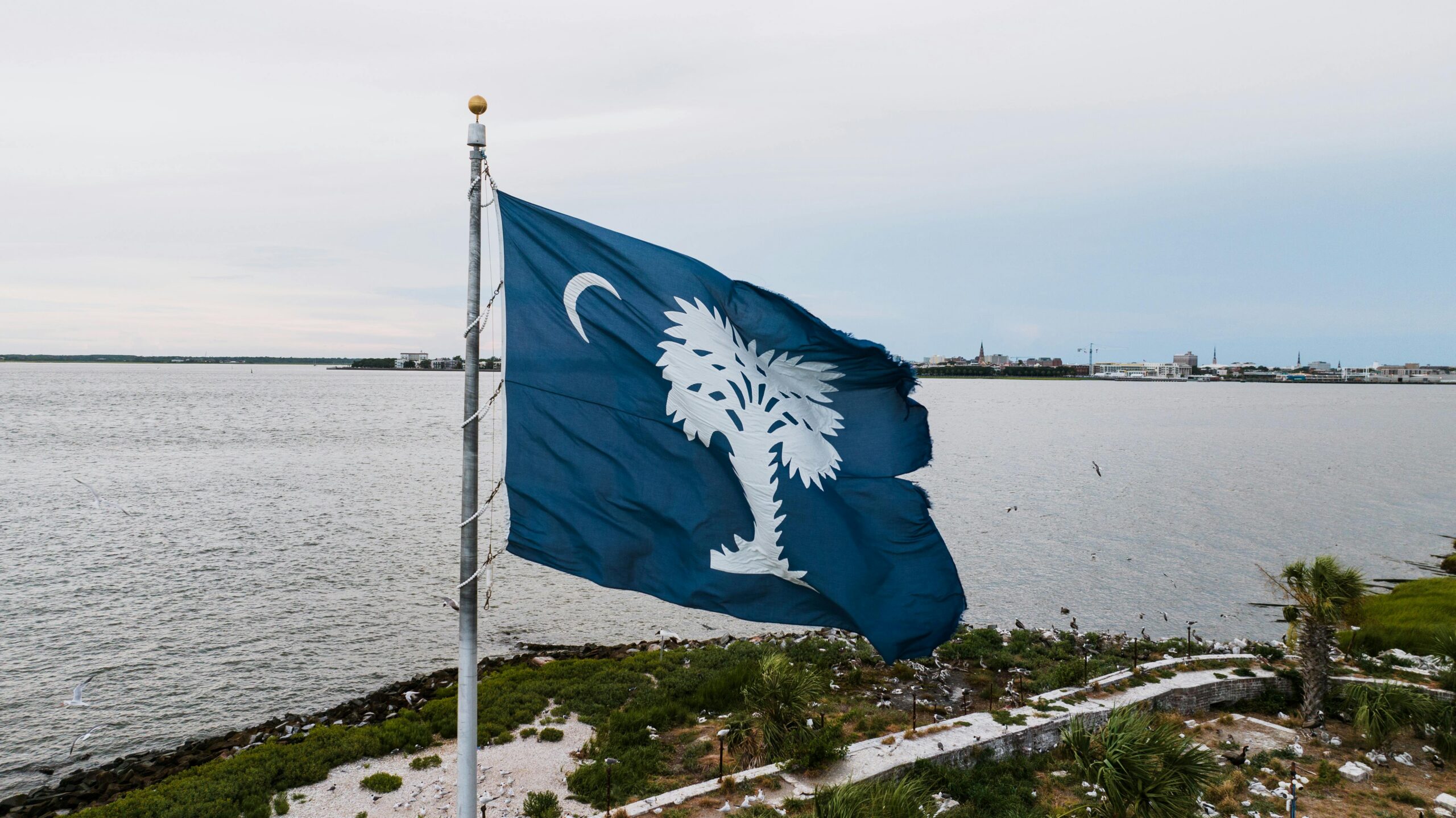 Complete Guide to Mastering South Carolina Nursing Prerequisites