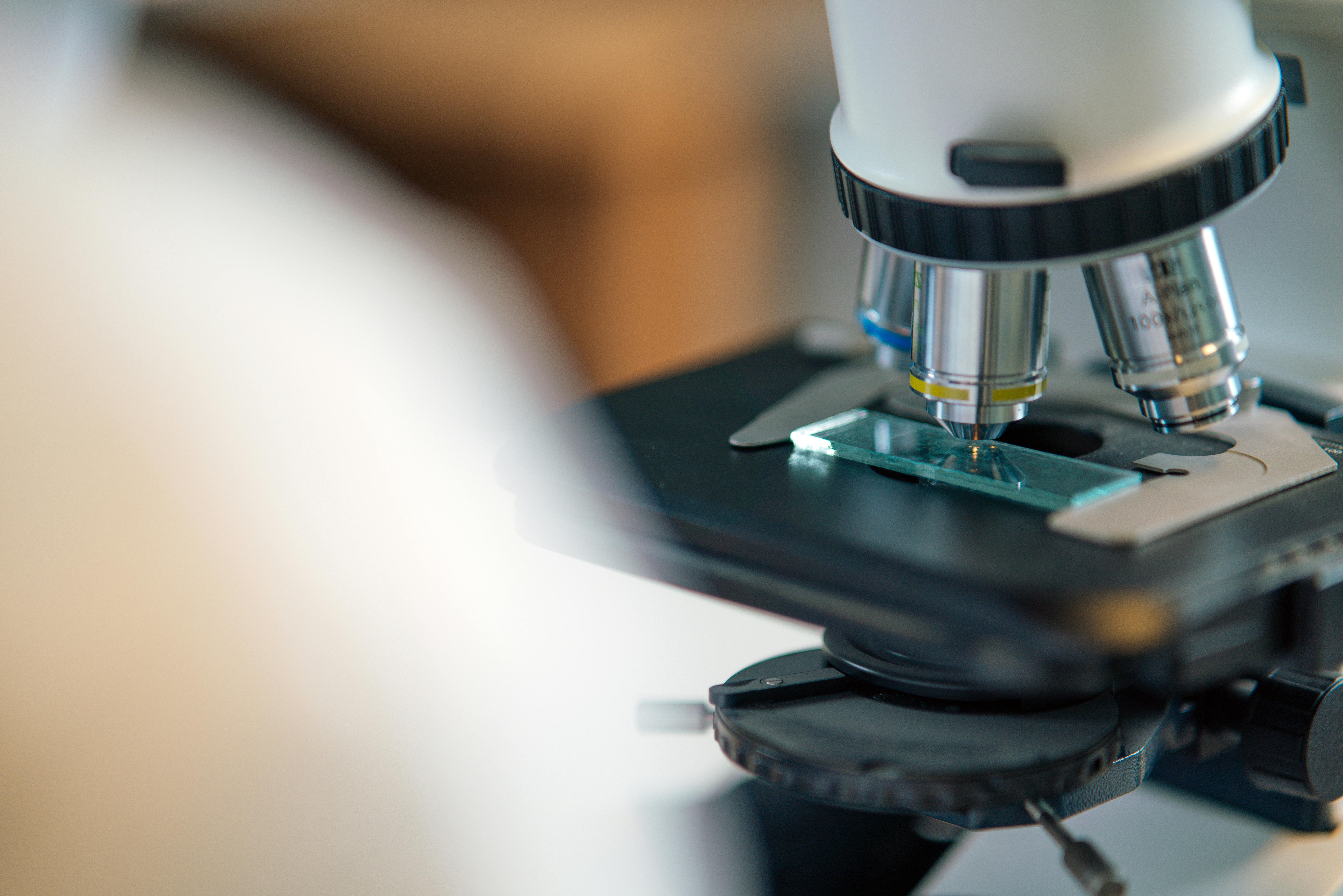 Online Microbiology with Lab for PA School Applications