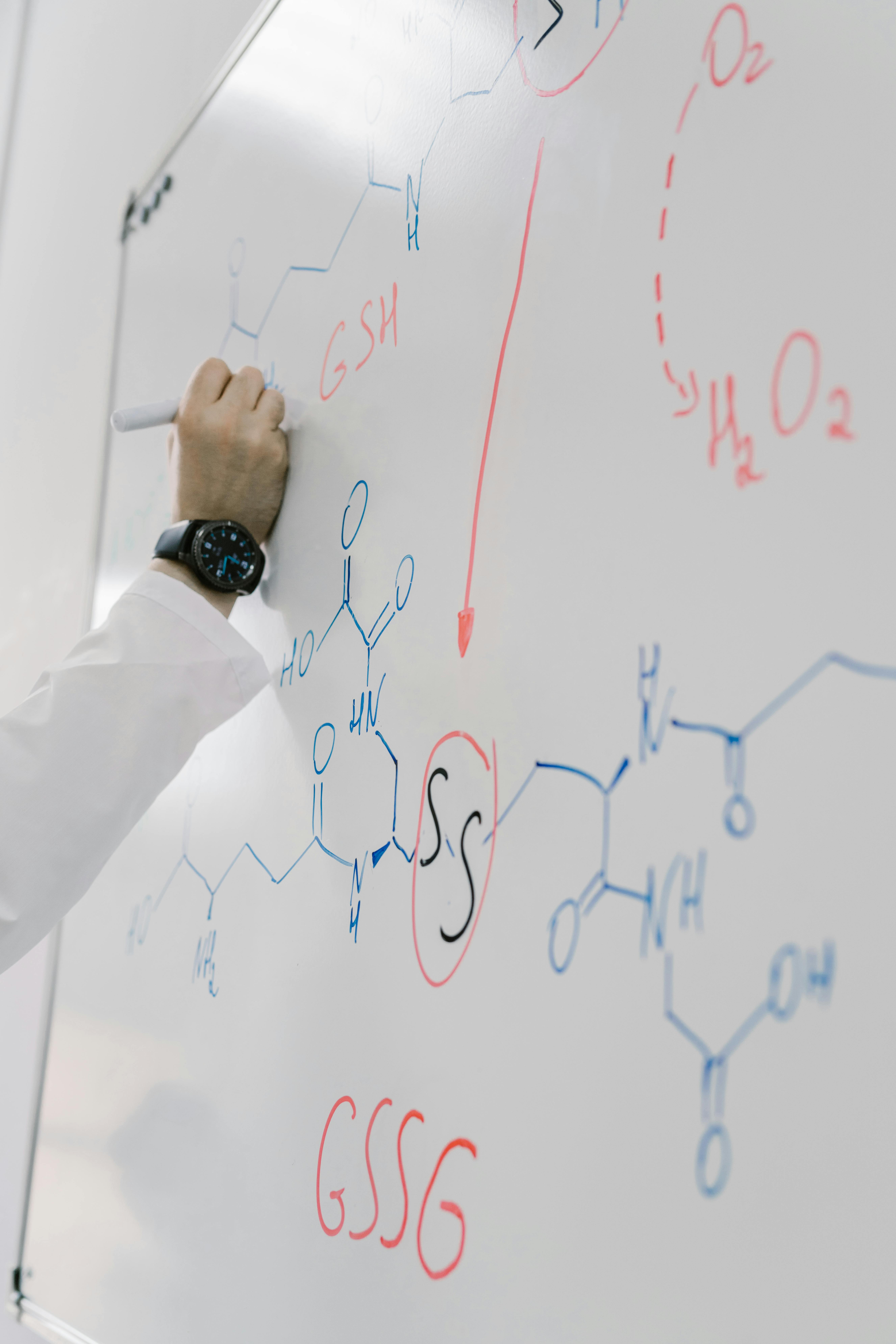 Online General Chemistry I & II with Lab: PA School Acceptance