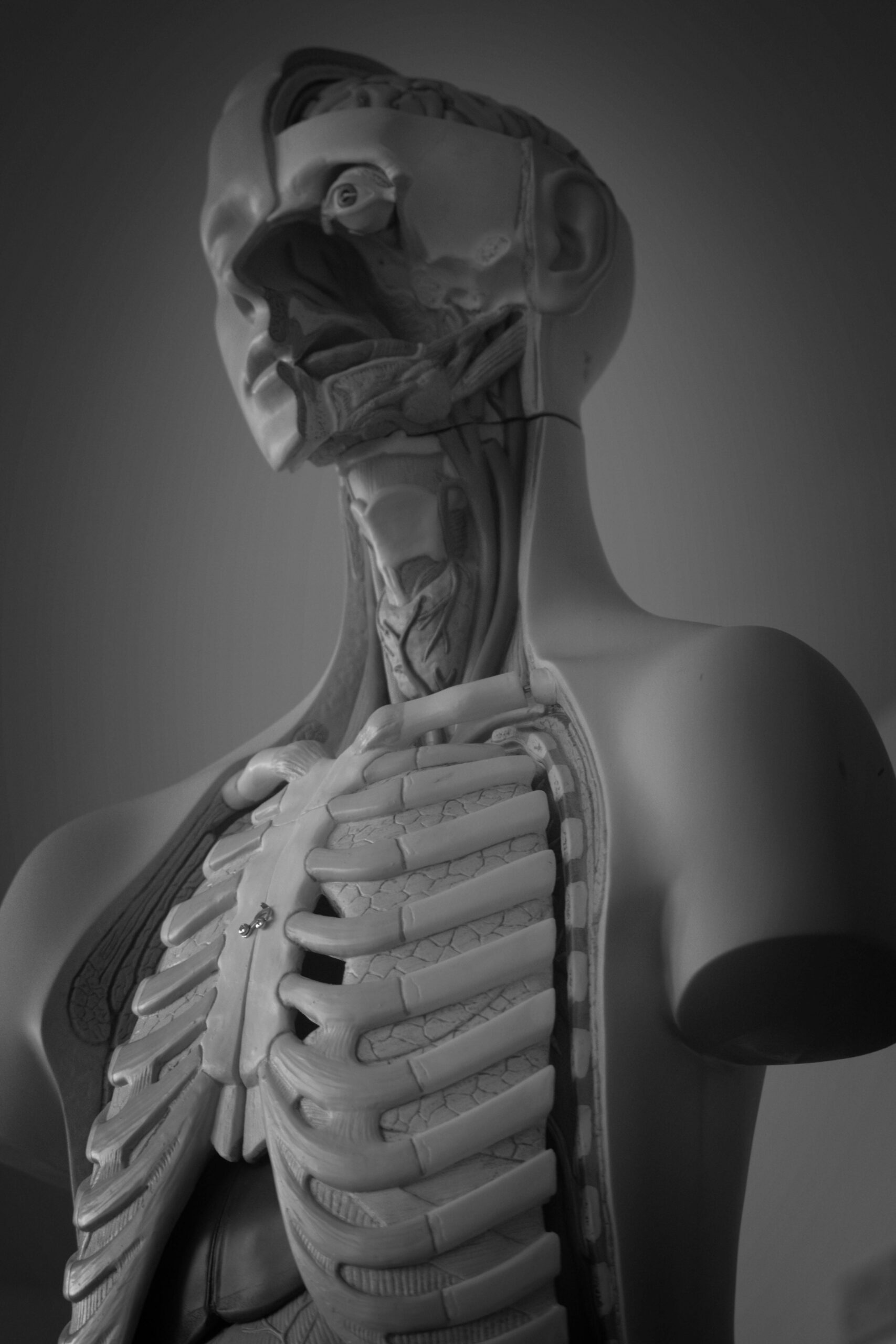 Online Anatomy & Physiology I & II with Lab for PA School