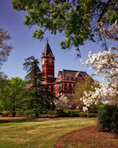 Auburn Vet School Prerequisites: What You Need to Apply
