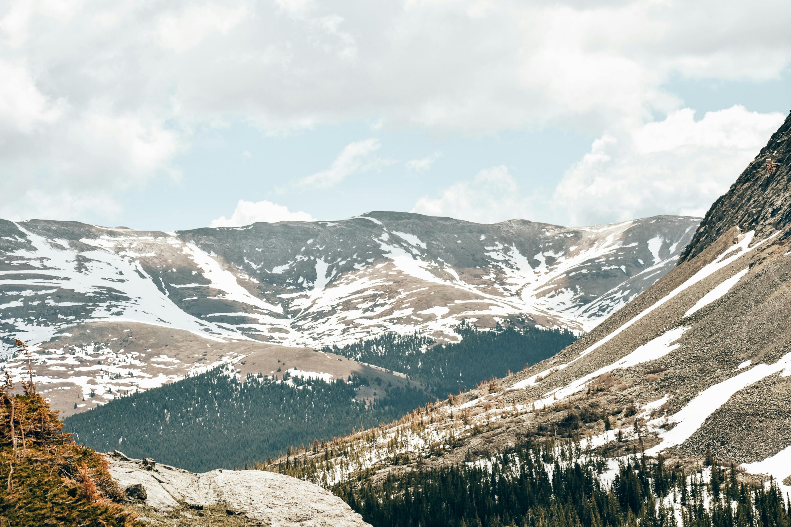 Colorado Nursing Prerequisites