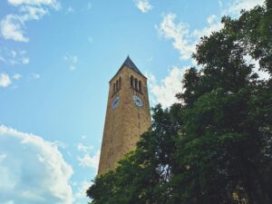 Cornell University Vet School Prerequisites