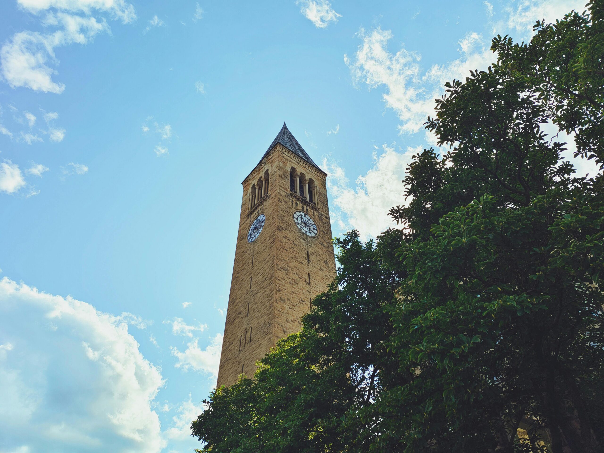 Cornell University Vet School Prerequisites