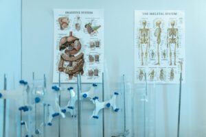 General Biology I & II with Lab for Vet School: Online Options That Count