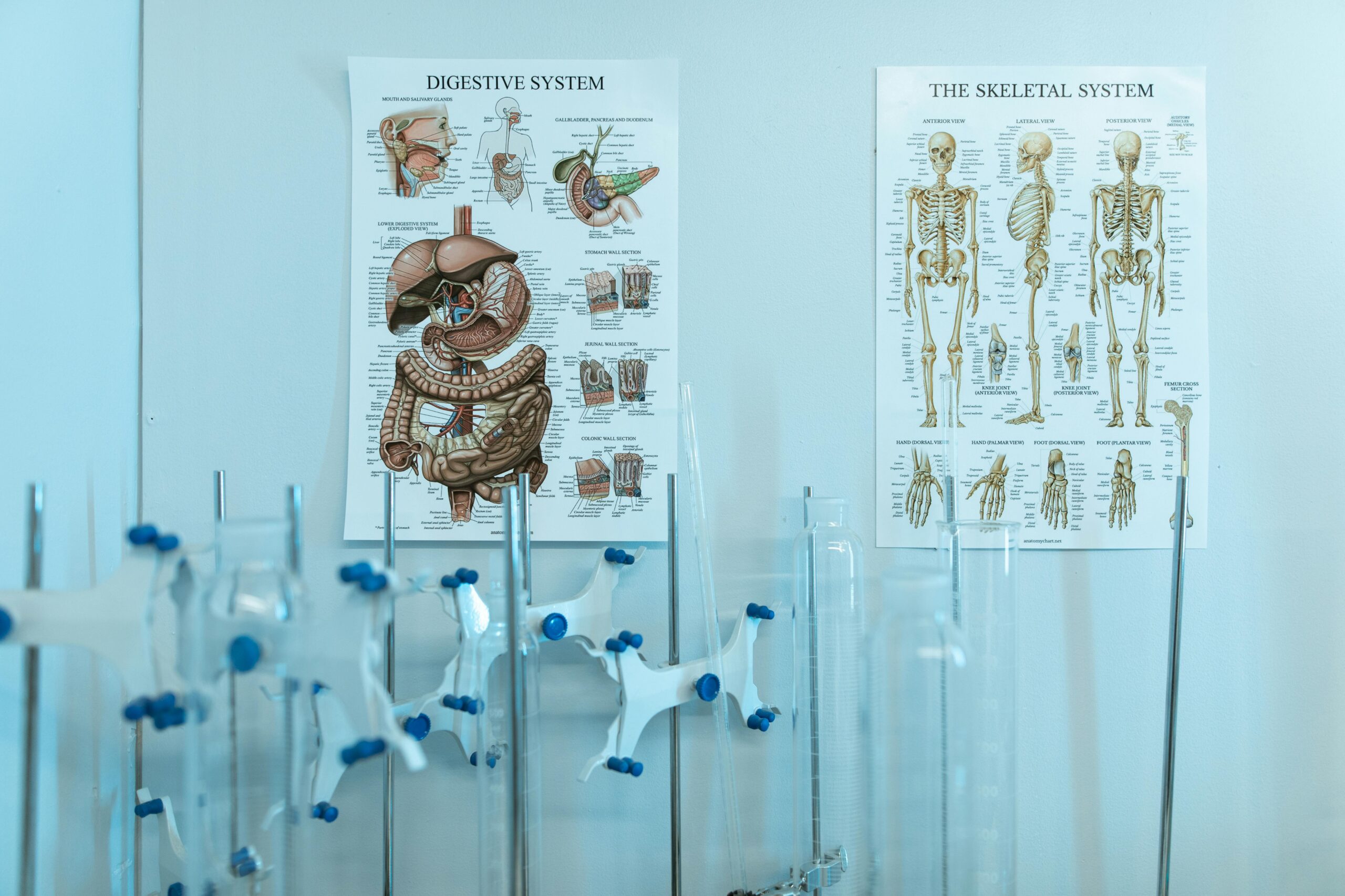 General Biology I & II with Lab for Vet School: Online Options That Count