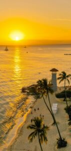 Caribbean Vet Schools: Prerequisites Compared