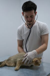 GRE for Vet School