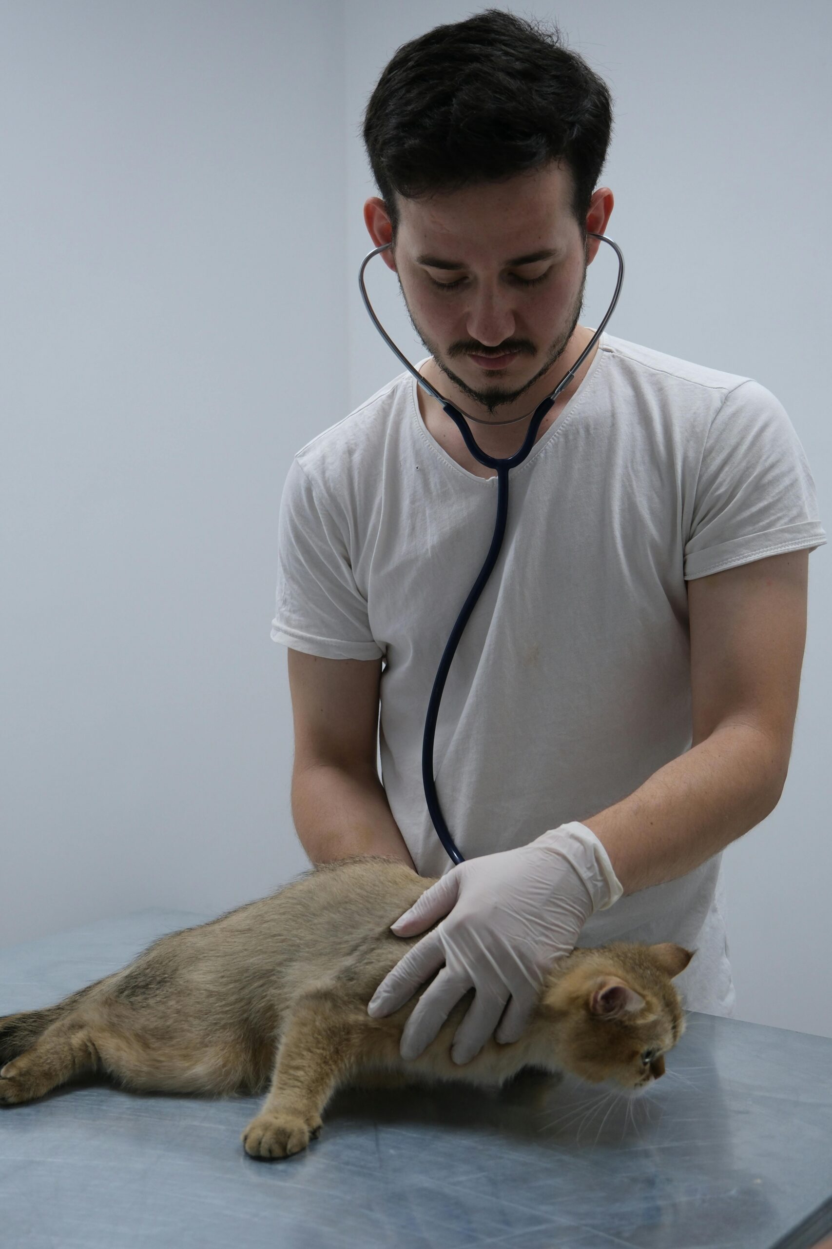 GRE for Vet School