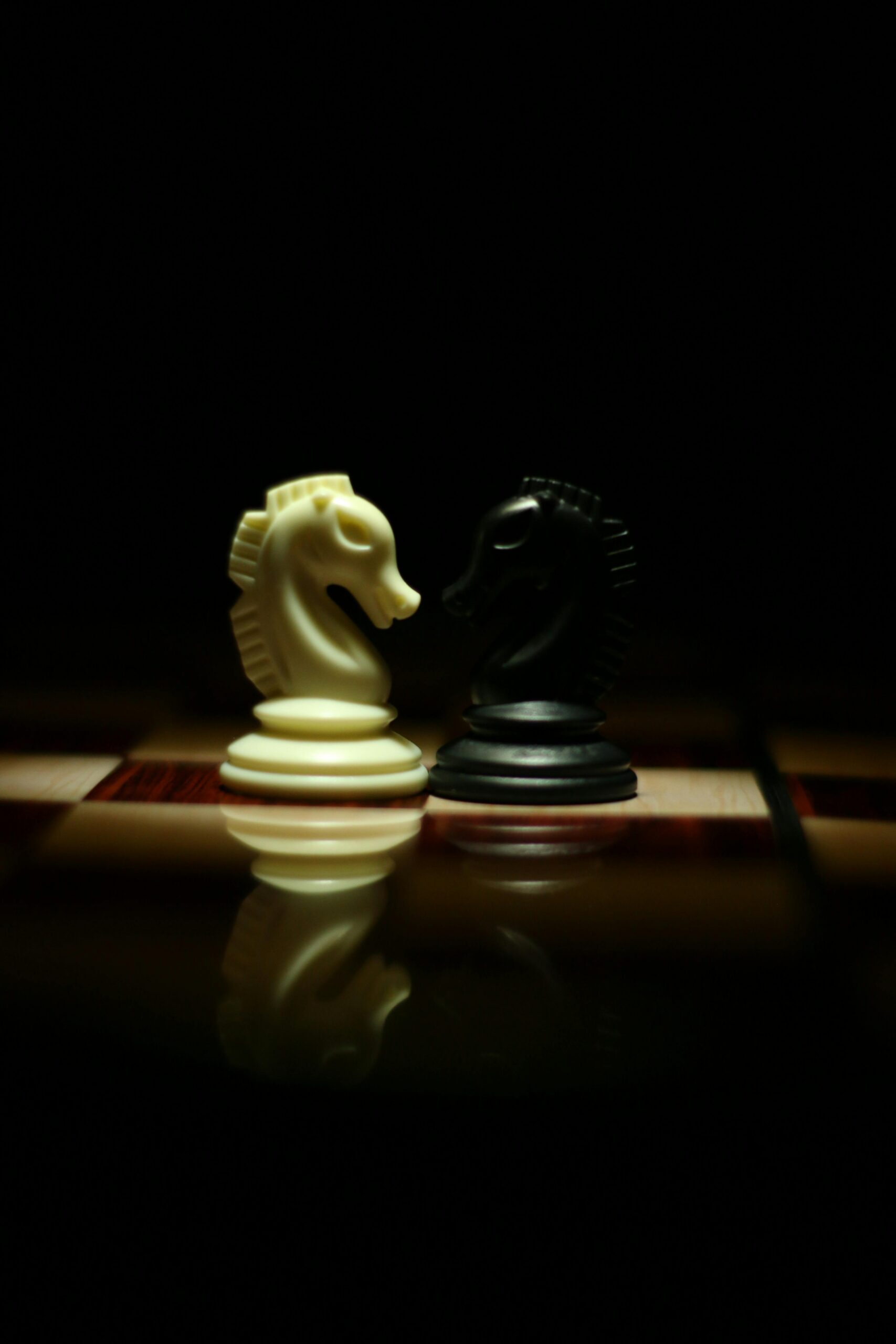PrereqCourses vs. StraighterLine- for Vet School: Acceptance Comparison