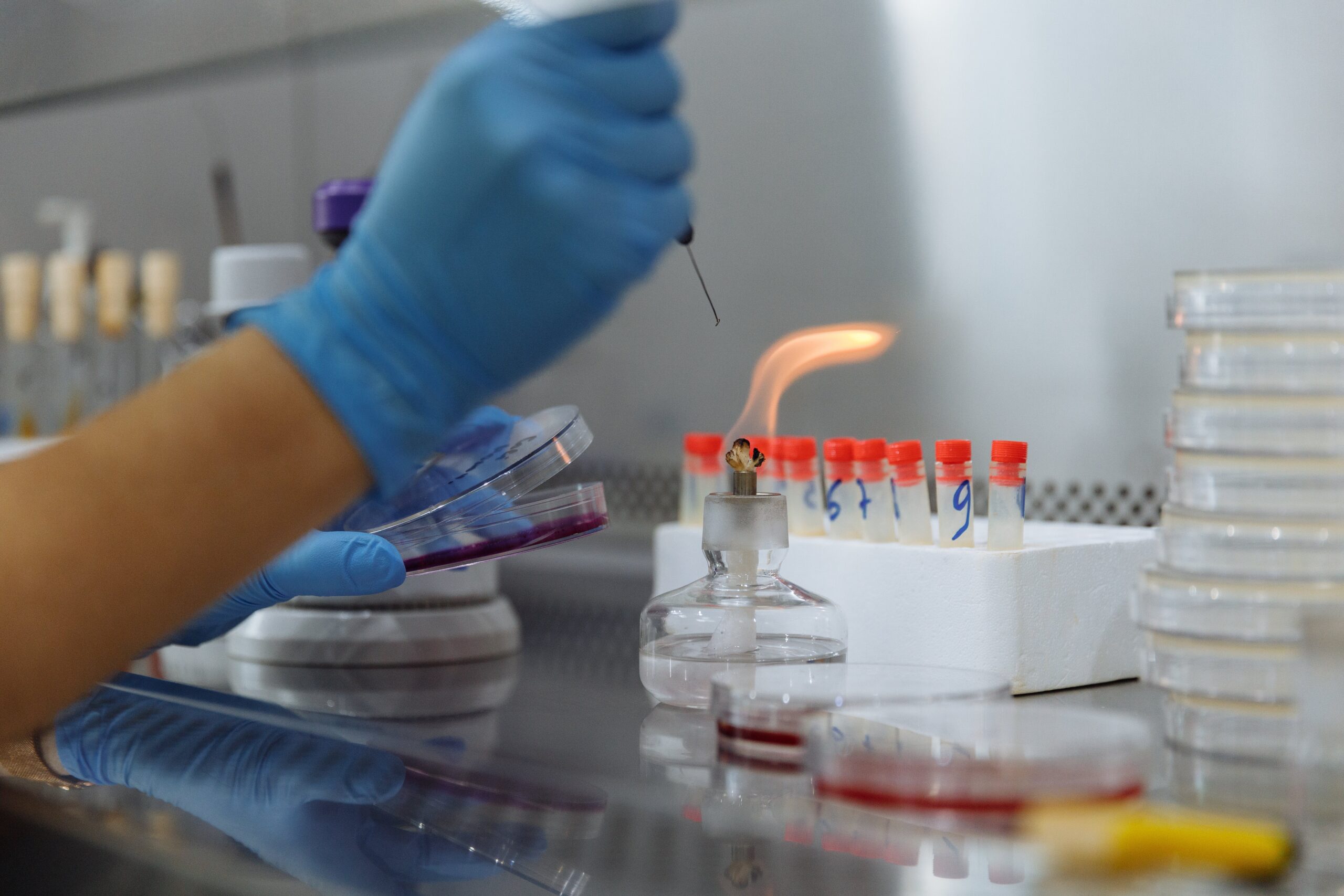 Microbiology for Respiratory Therapy: Online Options to Satisfy the Prerequisite