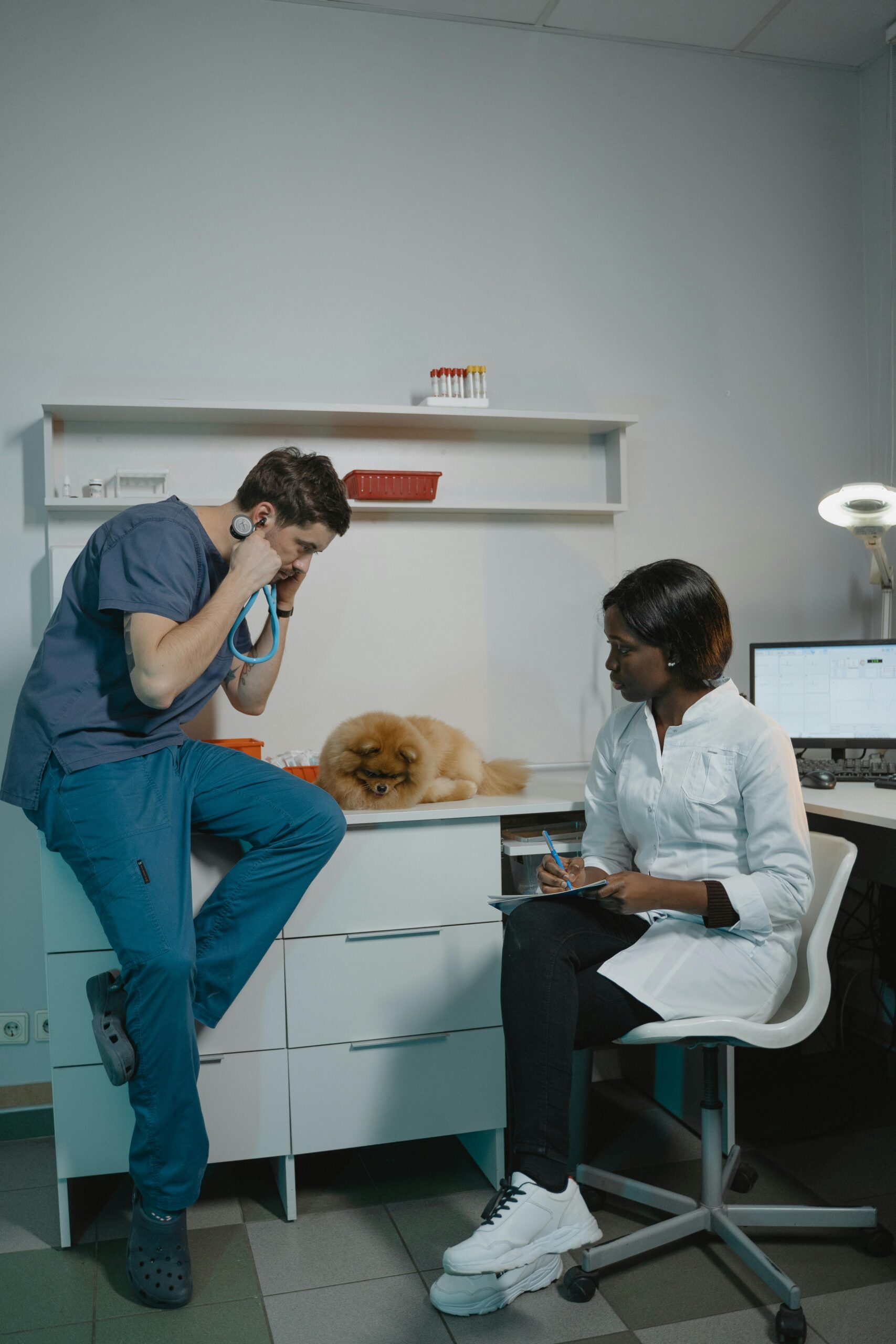 Online Prerequisite Courses for Vet School: What VMCAS Programs Actually Accept
